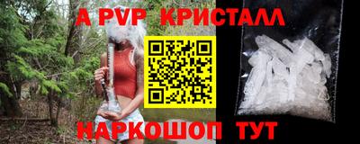 mdpv Кингисепп