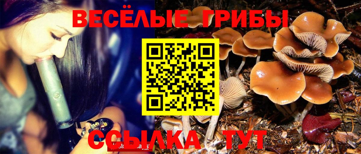 Россия  Псилоцибиновые грибы Cubensis  Вход с VPN 